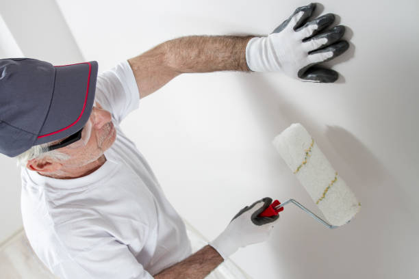 Best Drywall Sanding and Smoothing  in Broomfield, CO